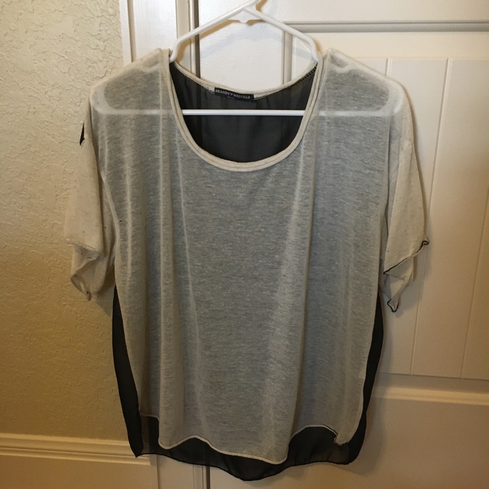 Brandy Melville Sheer Top